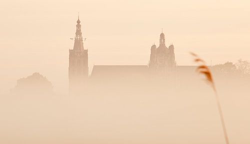 Den Bosch ontwaakt uit de mist