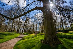 Keukenhof Park an einem schönen Frühlingstag