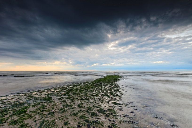 Brise-lames le long de la côte néerlandaise par gaps photography