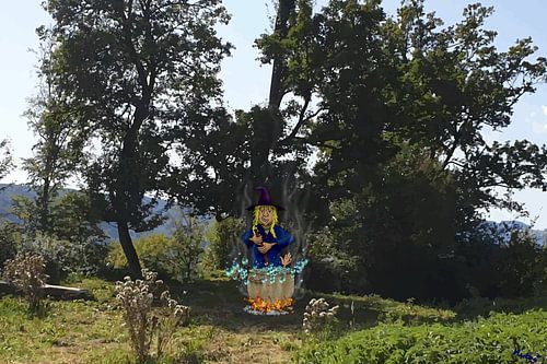 Het pre-vegan tijdperk