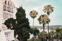Zomerse Sereniteit op Menorca