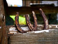Two rusty horseshoes on a wooden board