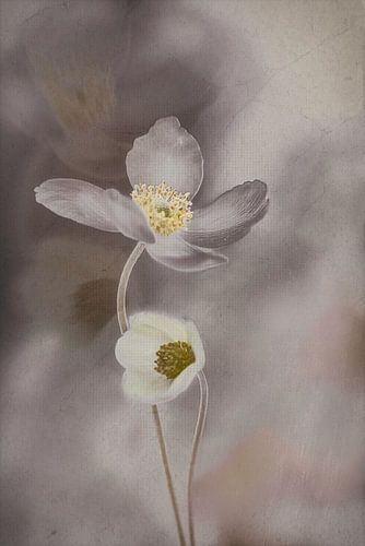 Flowers grijs / natural tinten