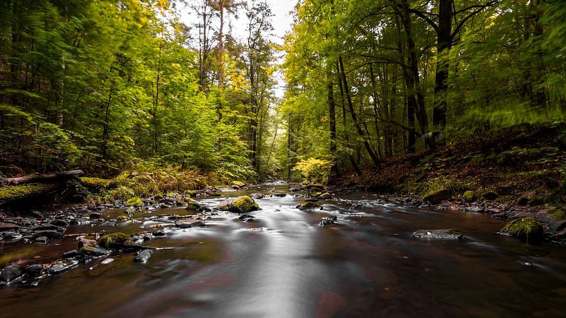 Magische Flusslandschaft in Sachsen, das Löbauer Wasser 1 von Holger W. Spieker