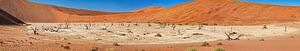 Le Deadvlei en Namibie
