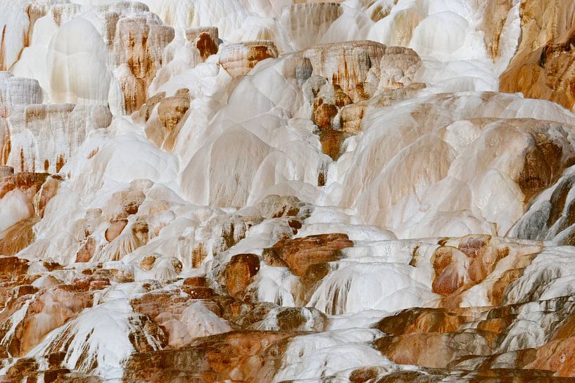 Mammoth Hot Springs im Yellowstone von Antwan Janssen