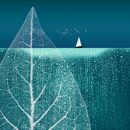 OCEAN WONDERLAND III