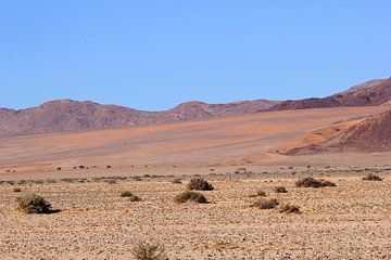 Colorful desert