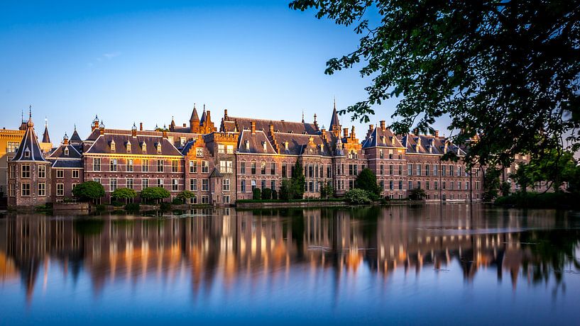 La Haye Binnenhof. par Timo  Kester