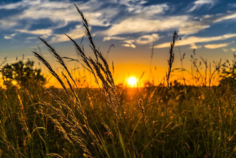 Zonsondergang in de natuur von Michel van der Vegt