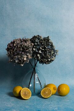 Modern stilleven met citroenen en hortensia bloemen