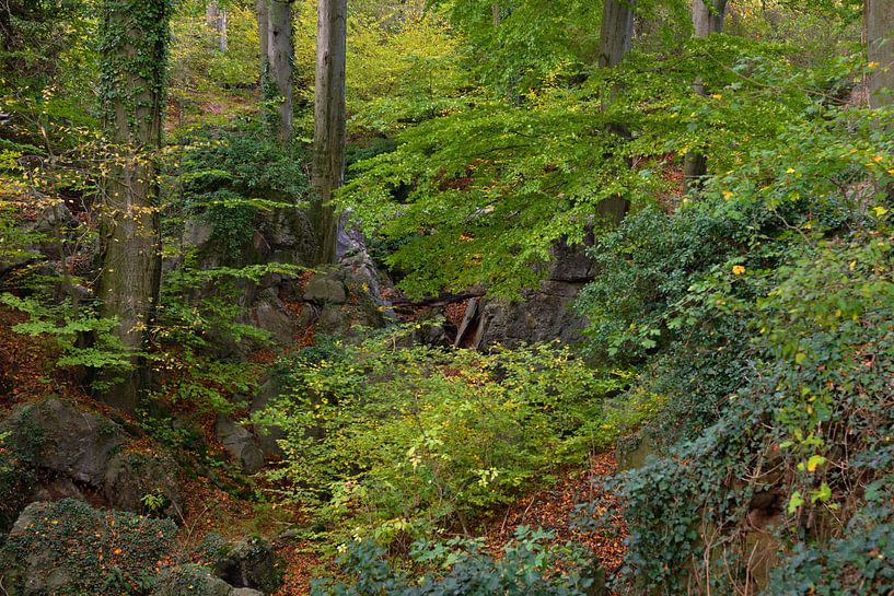 Felsenmeer ( Hemer ), wild zerklüftete Felsen unter alten Buchen, Naturschutzgebiet, Deutschland. von wunderbare Erde