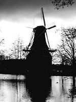 Rotterdam, Kralingen