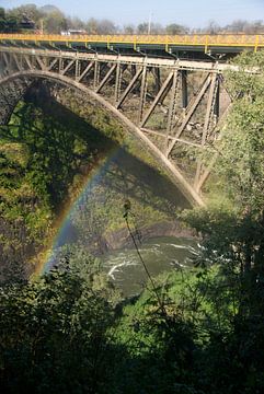 Victoria falls brug en regenboog, Zambezi, Zimbabwe van Christel Nouwens- Lambers