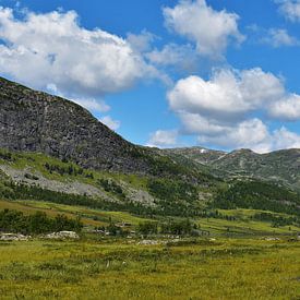 Das norwegische Gebirge von Naomi Elshoff