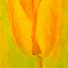Golden tulip by Karen Kaspar