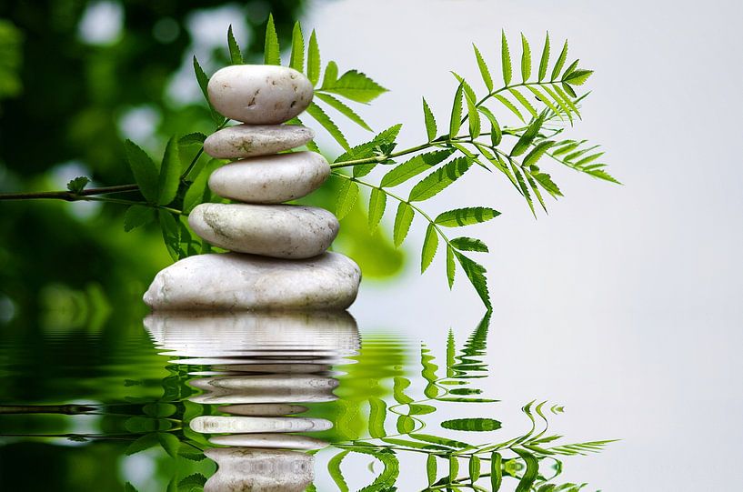 Balance von Gabi Siebenhühner