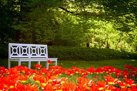 Bank im Grünen von Steffen Schöne