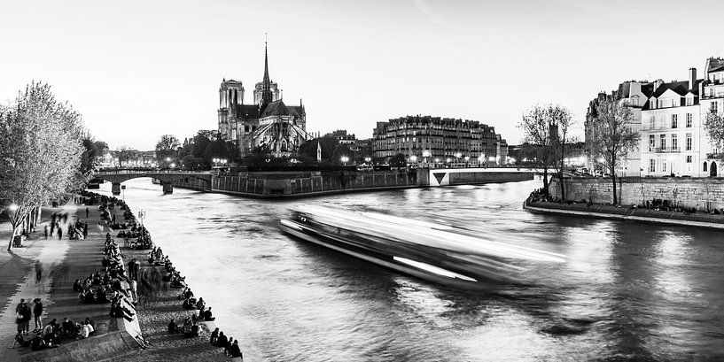 Notre-Dame Cathedral in Paris - Monochrome by Werner Dieterich