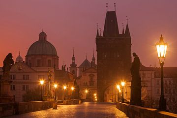 Prag Karlsbrücke - Tschechische Republik von Jiri Viehmann