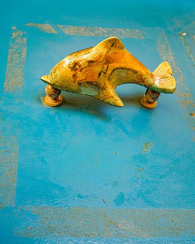 Wie ein Fisch auf dem Trockenen. von Alie Ekkelenkamp