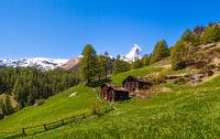 Idylisch Zwitsers panorama landschap met uitzicht over de Matterhorn van Justin Suijk thumbnail