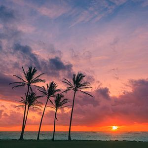 Sonnenaufgang Kapaa Beach Park, Kauai, Hawaii