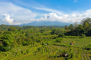 Aerial view of Mt. Agung with rice fields in Bali, Indonesia by Eye on You