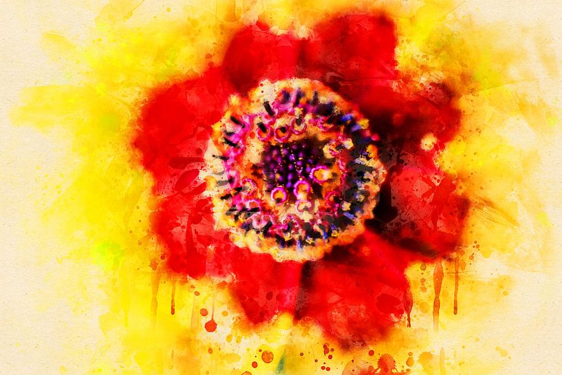 Les yeux des filles (plantes, art) par Art by Jeronimo