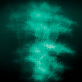 Dynamische Farbexplosion: Ein künstlerisches Bild von sich bewegenden Blumen in Türkis, eingefangen in einem poetischen Tanz aus Licht und Form von ByLulu