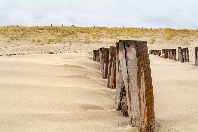 North Sea coast in Zeeland by Achim Prill