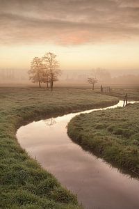 Stimmungsvoller Morgen von Halma Fotografie