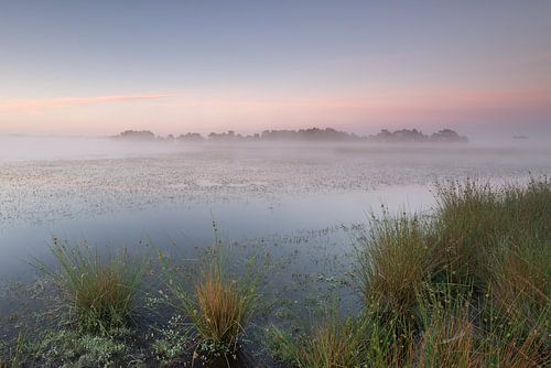Strabrechtse Heide 212