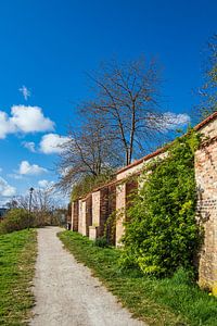 Blick auf die Stadtmauer der Hansestadt Rostock