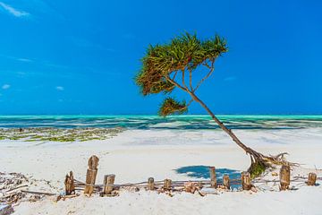 Zanzibar beach van Andy Troy