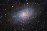 M33, la galaxie du Triangle.