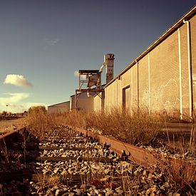 Abandoned railway. von Martijn Van Hoeflaken
