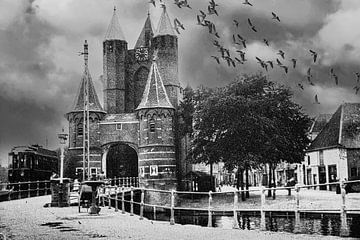 Amsterdamse Poort Oud Haarlem van Brian Morgan