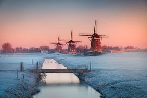 Niederländische Polderlandschaft mit Windmühlen bei einem nebligen Sonnenaufgang von Original Mostert Photography
