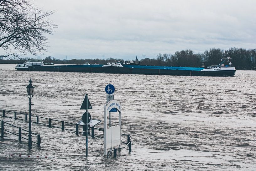 Binnenvaart onderweg met hoogwater op de Rijn van scheepskijkerhavenfotografie