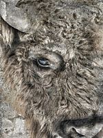 Shot of softness