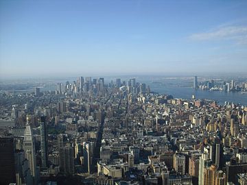 Uitzicht op Manhattan vanaf het Empire State Building