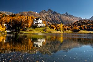 Waldhaus am St Moritzsee im Morgenlicht