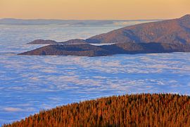 Herbst auf dem Schauinsland von Patrick Lohmüller