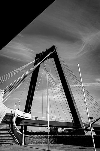 Die Willemsbrug in Rotterdam
