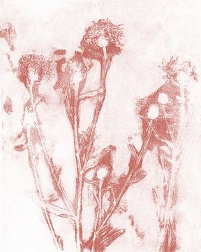 Weidebloemen in warm retro rood. Botanische illustratie. van Dina Dankers