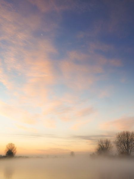 Colorful fog by Lex Schulte