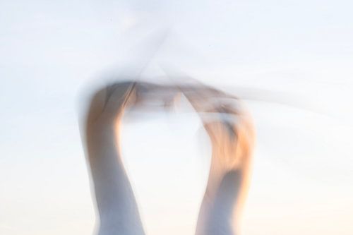 Grußwort von Elles Rijsdijk