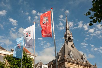 Stadhuis van Schoonhoven van Richard Wareham