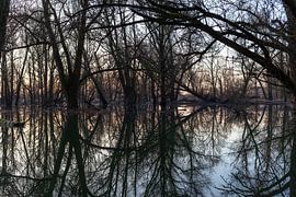 Reflet des plaines sur SPIRIT OF NATURE - Chris Lindhout